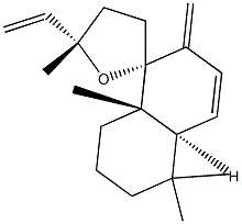 (13S)-9,13-Epoxy-6,8(17),14-labdatriene Structure