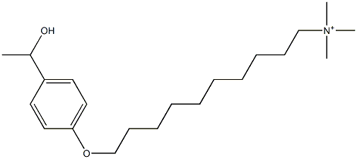 Trimethyl[10-[p-(1-hydroxyethyl)phenyloxy]decyl]aminium 구조식 이미지