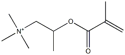 N,N,N-Trimethyl-2-[(2-methyl-1-oxo-2-propenyl)oxy]-1-propanaminium 구조식 이미지