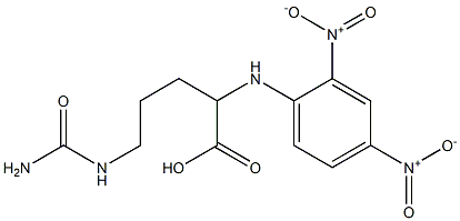 Dnp-DL-Citrulline Structure