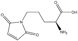 (2S)-2-Amino-5-(2,5-dioxo-3-pyrrolin-1-yl)pentanoic acid Structure