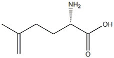 (S)-2-Amino-5-methyl-5-hexenoic acid 구조식 이미지