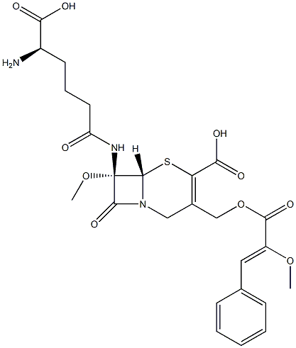 (7S)-7-[[(R)-5-Amino-5-carboxy-1-oxopentyl]amino]-3-[[(3-phenyl-2-methoxy-1-oxo-2-propenyl)oxy]methyl]-7-methoxycepham-3-ene-4-carboxylic acid 구조식 이미지