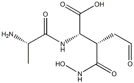 (3S)-N-L-Alanyl-3-[(hydroxyamino)carbonyl]-5-oxo-L-norvaline 구조식 이미지
