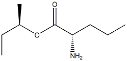 (R)-2-Aminopentanoic acid (S)-1-methylpropyl ester 구조식 이미지
