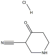 3-Cyano-4-piperidone hydrochloride 구조식 이미지