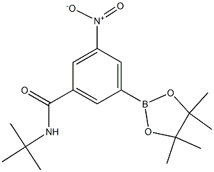 N-tert-butyl-3-nitro-5-(4,4,5,5-tetramethyl-1,3,2-dioxaborolan-2-yl)benzamide 구조식 이미지