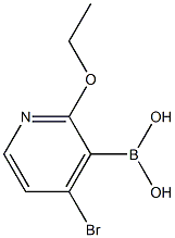 4-Bromo-2-ethoxypyridine-3-boronoc acid Structure