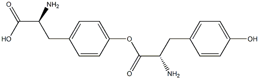 TYROSINE-TYROSINE 구조식 이미지