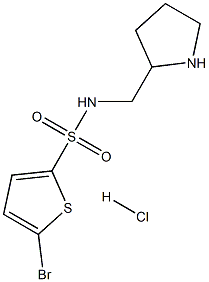 5-Bromo-thiophene-2-sulfonic acid (pyrrolidin-2-ylmethyl)-amide hydrochloride Structure