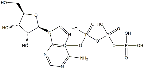 L-Adenosine 5-triphosphate 구조식 이미지