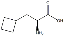 3-cyclobutyl-alanine -D- Structure