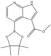 methyl 4-(tetramethyl-1,3,2-dioxaborolan-2-yl)-1H-pyrrolo[2,3-b]pyridine-3-carboxylate 구조식 이미지