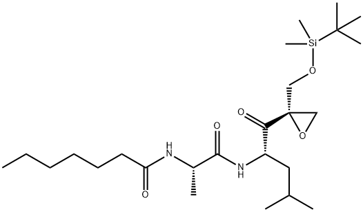 UK-101 Structure