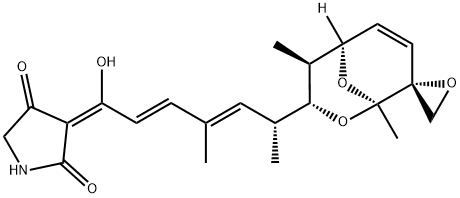 tirandalydigin Structure