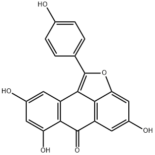 Diptoindonesin G 구조식 이미지