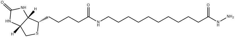 Biotin-SLC-Hydrazide Structure