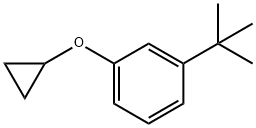 Benzene, 1-(cyclopropyloxy)-3-(1,1-dimethylethyl)- Structure