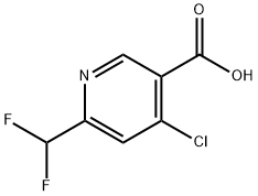 3-Pyridinecarboxylic acid, 4-chloro-6-(difluoromethyl)- Structure