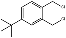 Benzene, 1,2-bis(chloromethyl)-4-(1,1-dimethylethyl)- 구조식 이미지