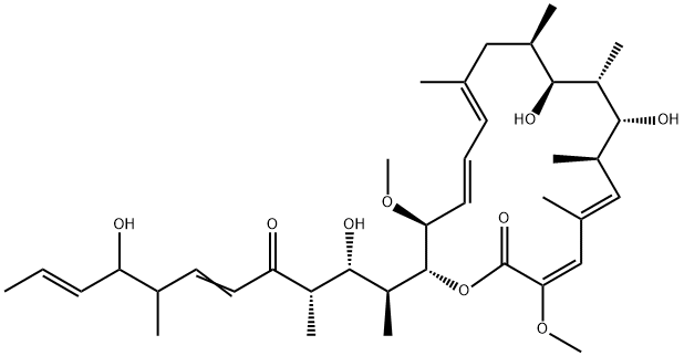 concanamycin G Structure