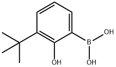 Boronic acid, B-[3-(1,1-dimethylethyl)-2-hydroxyphenyl]- Structure