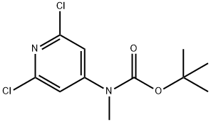 Carbamic acid, N-(2,6-dichloro-4-pyridinyl)-N-methyl-, 1,1-dimethylethyl ester Structure