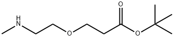 Methylamino-PEG1-t-butyl ester 구조식 이미지