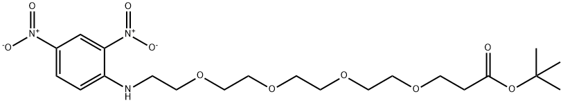 DNP-PEG4-t-butyl ester Structure