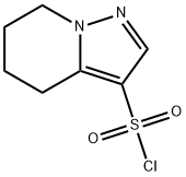 Pyrazolo[1,5-a]pyridine-3-sulfonyl chloride, 4,5,6,7-tetrahydro- Structure