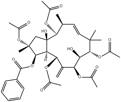 Jatrophane 6 구조식 이미지