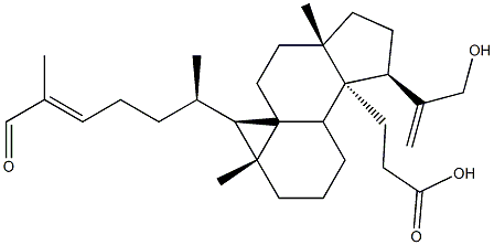 Coronalolic acid 구조식 이미지