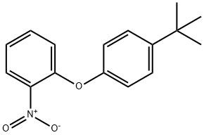 Benzene, 1-[4-(1,1-dimethylethyl)phenoxy]-2-nitro- Structure