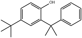Phenol, 4-(1,1-dimethylethyl)-2-(1-methyl-1-phenylethyl)- Structure