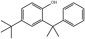 Phenol, 4-(1,1-dimethylethyl)-2-(1-methyl-1-phenylethyl)- 구조식 이미지