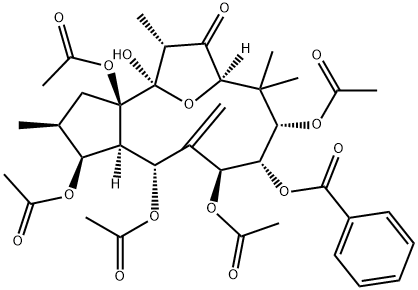 kansuinin A Structure