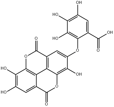 Valoneic Acid Dilactone 구조식 이미지