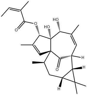 20-Deoxyingenol 3-angelate 구조식 이미지