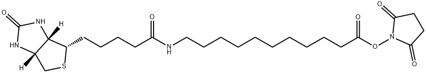 Biotin-SLC-NHS Structure