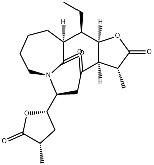 Neotuberostemone Structure