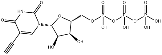 Uridine 5'-(tetrahydrogen triphosphate), 5-ethynyl- 구조식 이미지