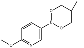 5-(5,5-dimethyl-1,3,2-dioxaborinan-2-yl)-2-methoxypyridine(SALTDATA: FREE) Structure