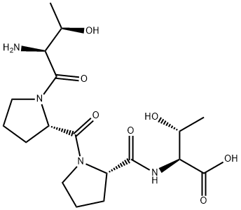 NT 13 Structure