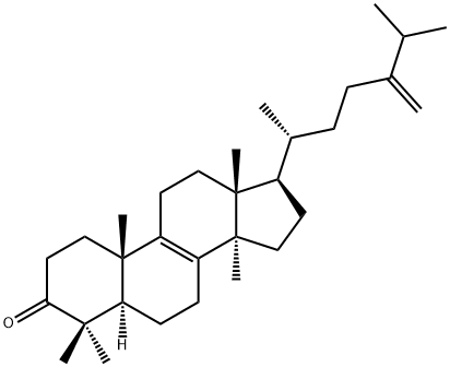 24-Methylenelanosta-8-ene-3β-one Structure