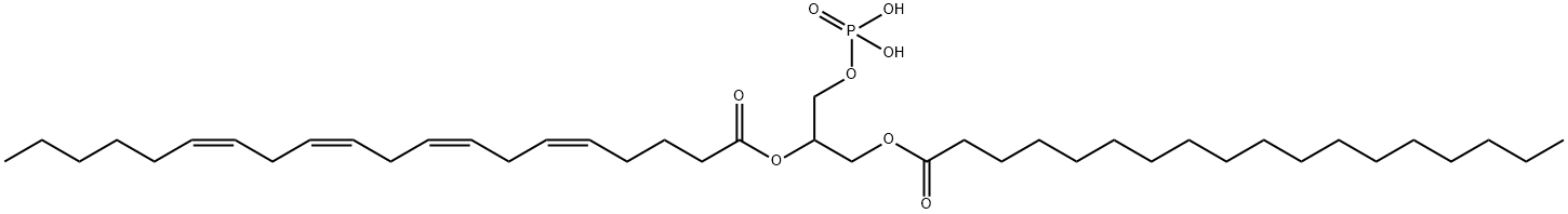 1-스테아로일-2-아라키도노일포스파티딘산 구조식 이미지