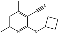 2-cyclobutoxy-4,6-dimethylpyridine-3-carbonitrile 구조식 이미지