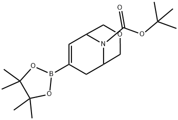 3-oxo-8-tbutylcarbonyldicyclo-2-decane-7-boronic ester 구조식 이미지