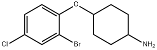 4-(2-bromo-4-chlorophenoxy)cyclohexan-1-amine Structure