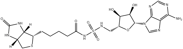 Bio-AMS Structure