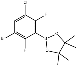 3-Bromo-5-chloro-2,6-difluorophenylboronic acid pinaco ester Structure